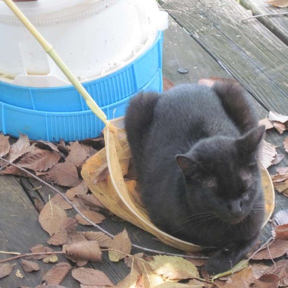 * Welcome to my Closet. Please Read! *  ~ Meet your Posher, Gina - Picture 8 of 16